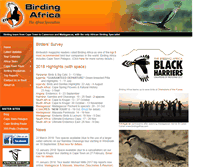 Tablet Screenshot of birdingafrica.com